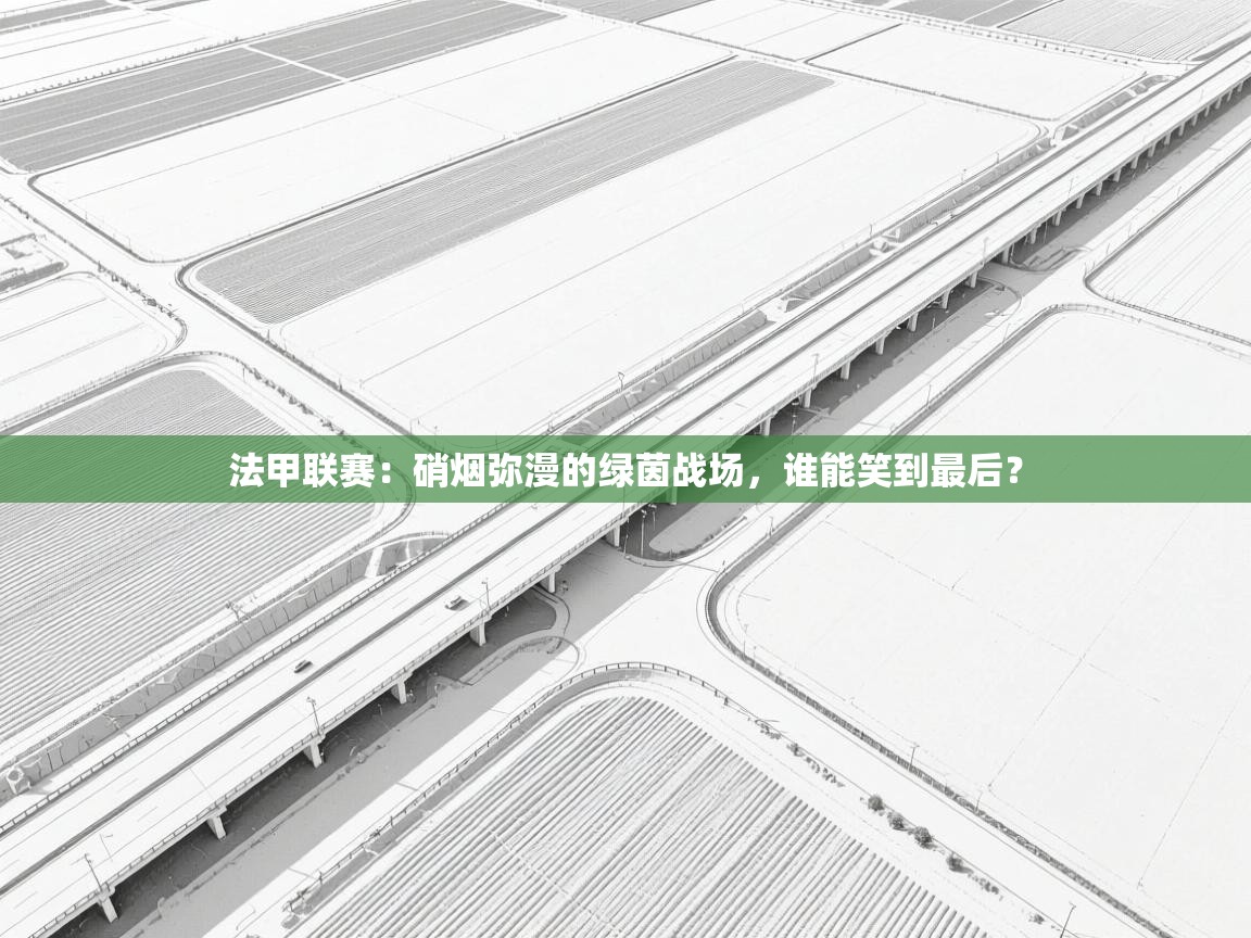 法甲联赛：硝烟弥漫的绿茵战场，谁能笑到最后？  第2张